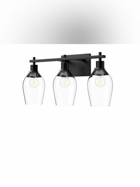 NIB Kingsley 22-in Vanity Light Black